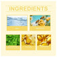 HOUKEA - Bee Venom Skin Care Cream (Original)